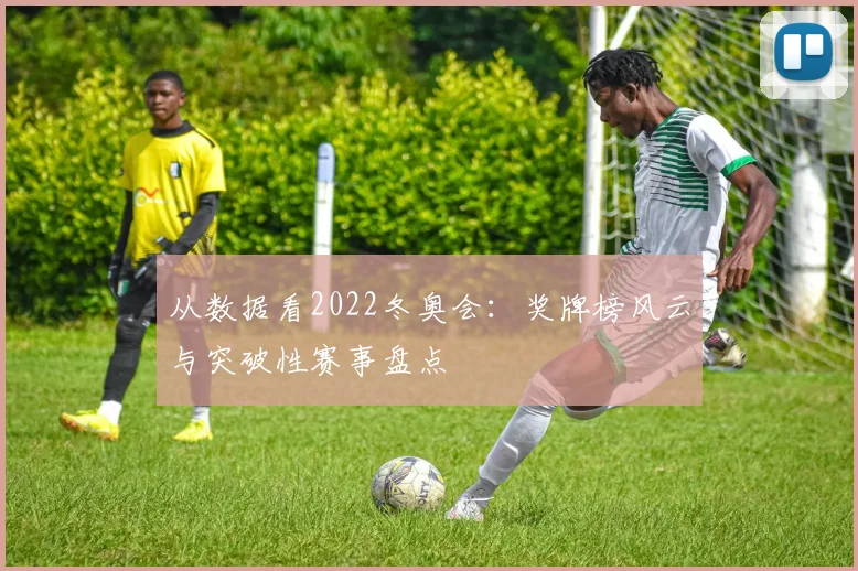 从数据看2022冬奥会：奖牌榜风云与突破性赛事盘点